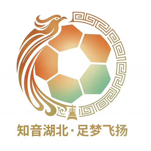 湖北省城市足球联赛 武汉华工科技队VS咸宁外星人队20260504