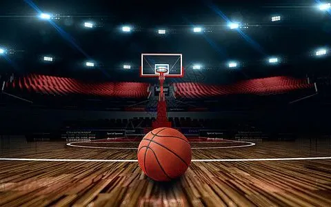 3月30日25-26赛季NBA常规赛 凯尔特人VS黄蜂